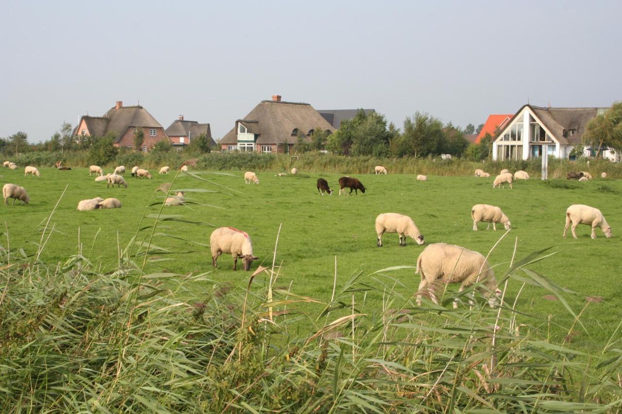 Tönning Gaestehaus Gudrun מראה חיצוני תמונה